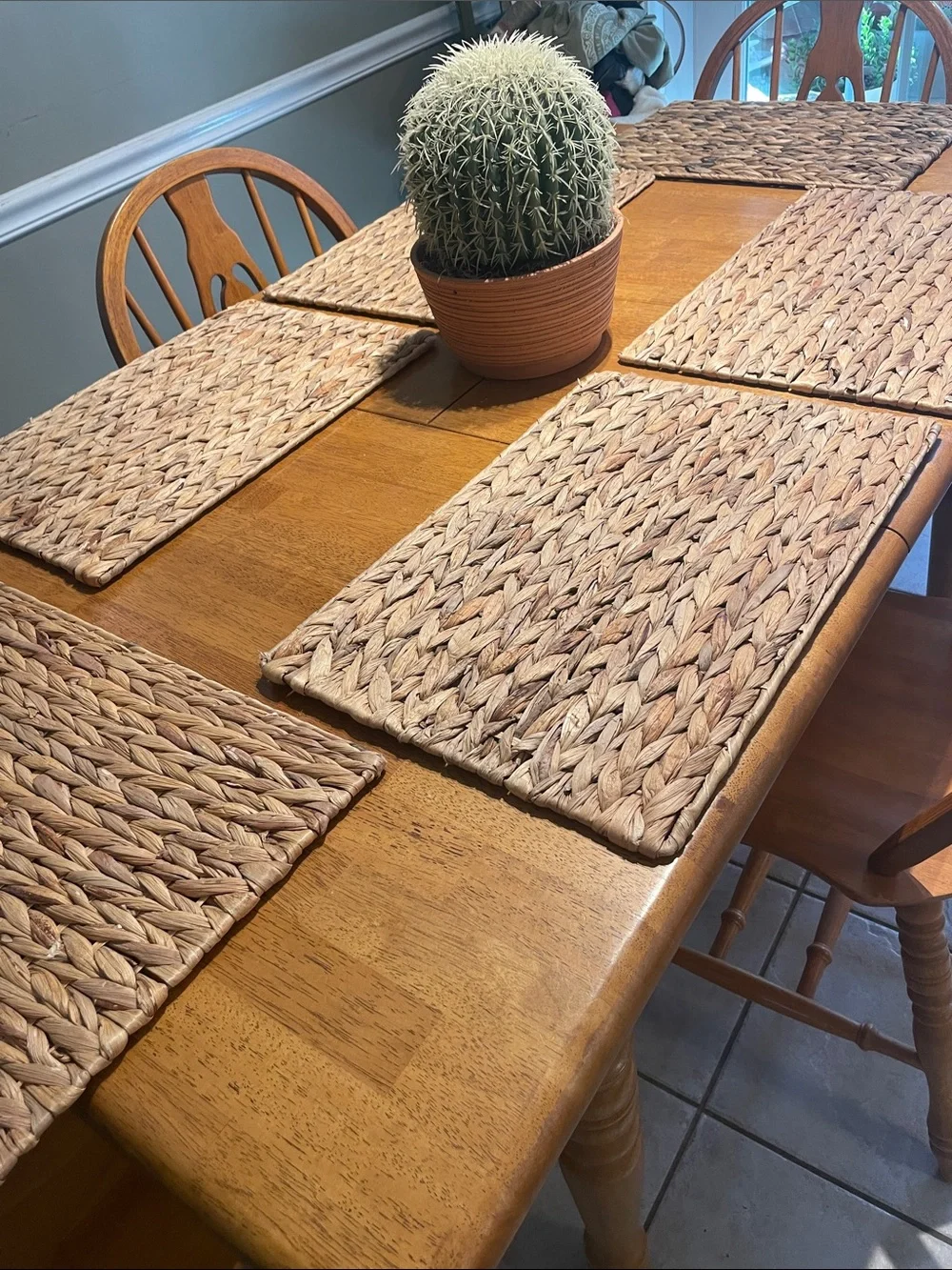 Natural Woven Placemat Set of (6)